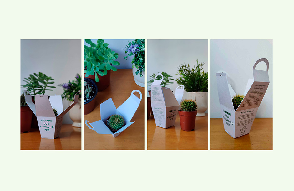 Diseño de pack para plantas