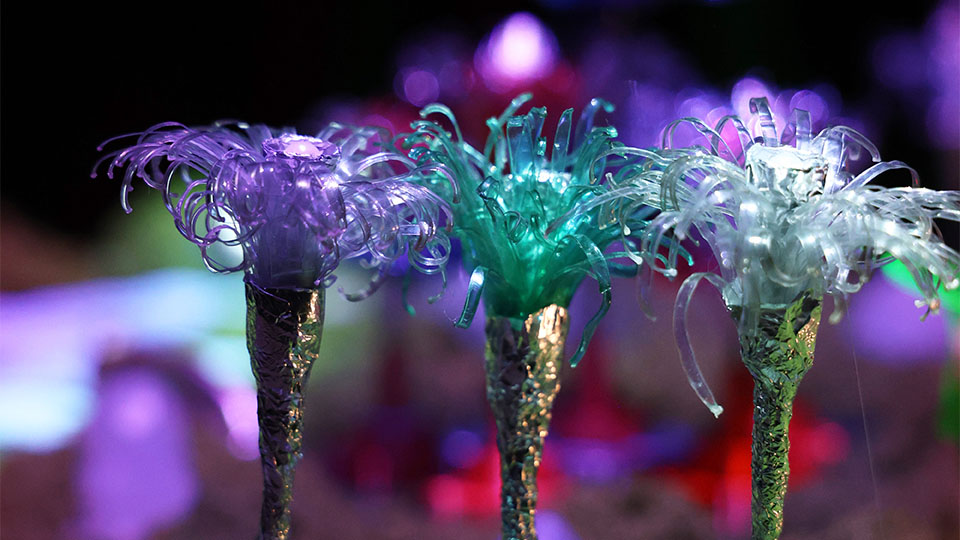 Flora, Jardín electrónico