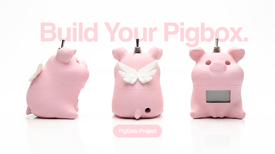 PigData Project. Build Your Pigbox.